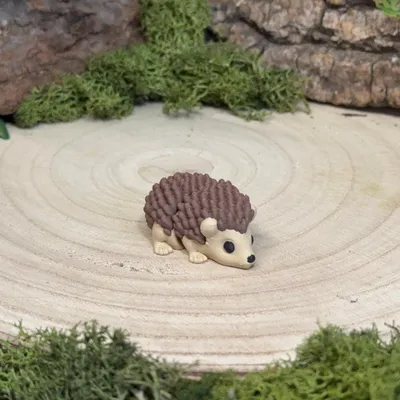 Hedgehog