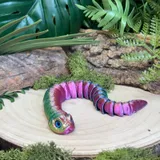 Hognose Snake Long thumbnail 2