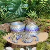 Dragon set thumbnail 5