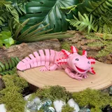Axolotl thumbnail 1