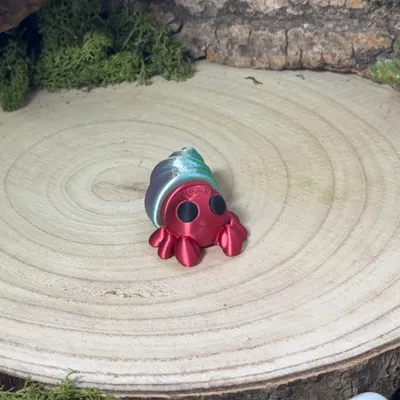 Hermit Crab