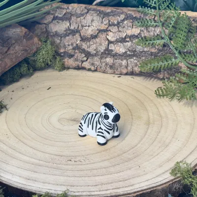 Zebra