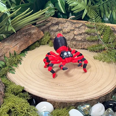 Tarantula