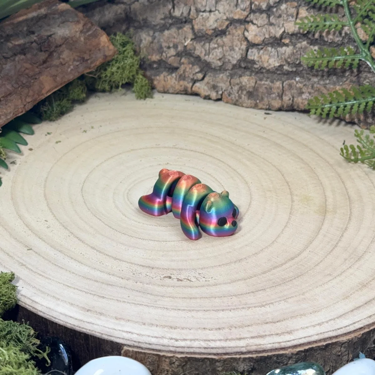 Rainbow Bear