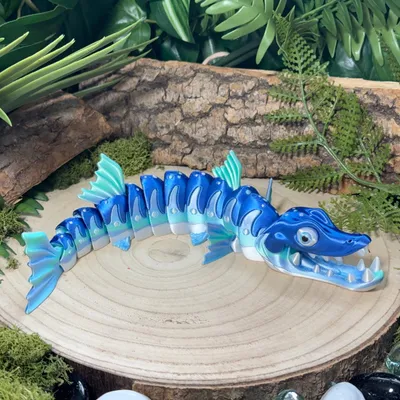 Barracuda