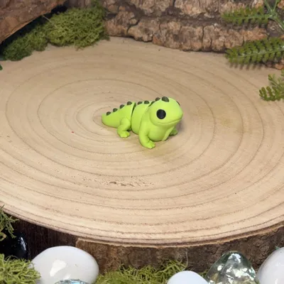 Iguana